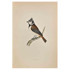 Crested Tit - Woodcut Print by Alexander Francis Lydon  - 1870