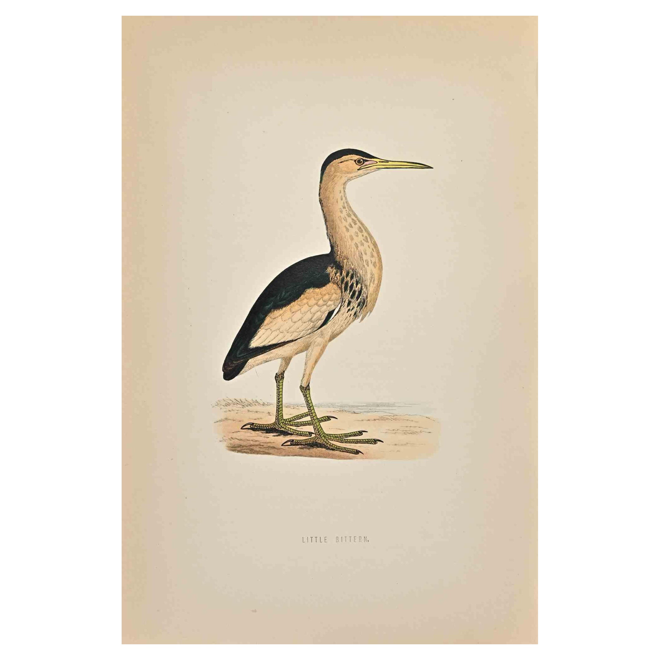 Little Bittern is  a modern artwork realized in 1870 by the British artist Alexander Francis Lydon (1836-1917) . 

Woodcut print, hand colored, published by London, Bell & Sons, 1870.  Name of the bird printed in plate. This work is part of a print