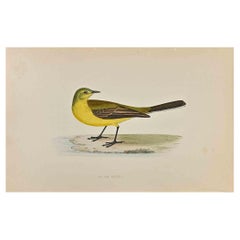Yellow Wagtail - Woodcut Print by Alexander Francis Lydon  - 1870