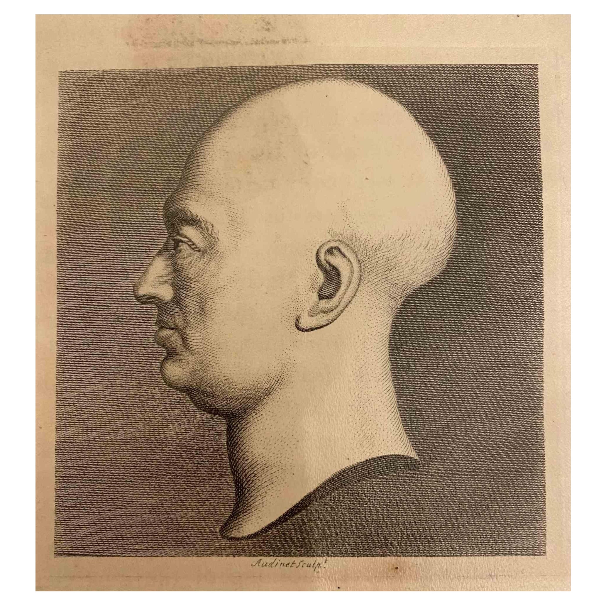 Profilprofil - Original-Radierung von Philip Audinet - 1810