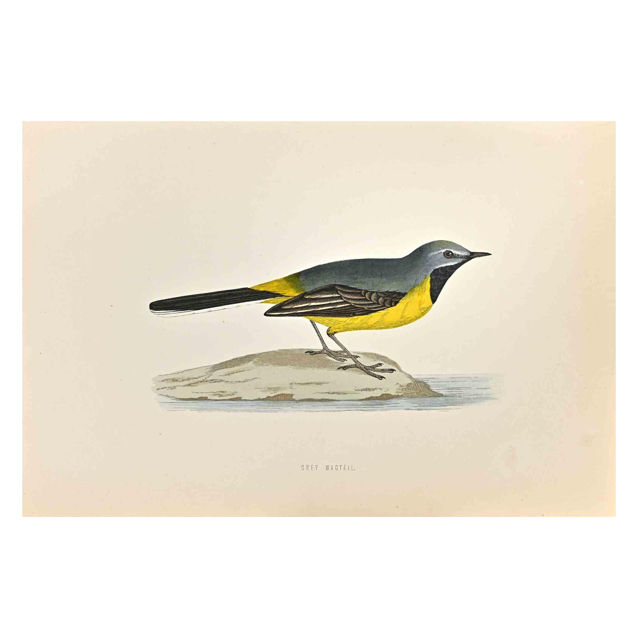 Grey Wagtail is a modern artwork realized in 1870 by the British artist Alexander Francis Lydon (1836-1917).

Woodcut print on ivory-colored paper.

Hand-colored, published by London, Bell & Sons, 1870.  

The name of the bird is printed on the