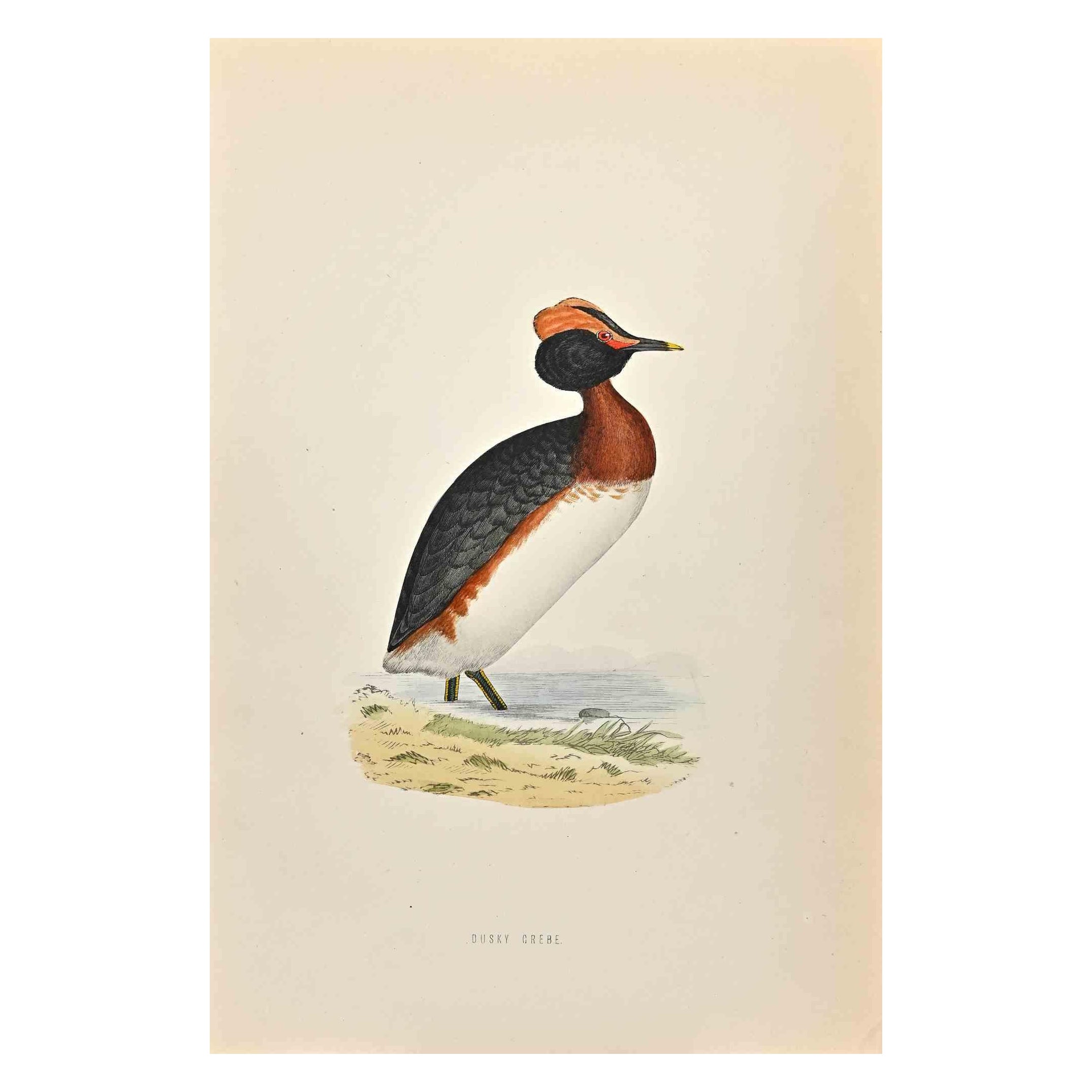 alexander grebe