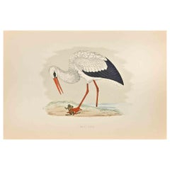Weißer weißer Stork - Holzschnitt von Alexander Francis Lydon  - 1870