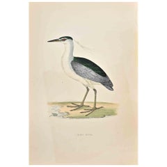 Night Heron - Woodcut Print by Alexander Francis Lydon  - 1870