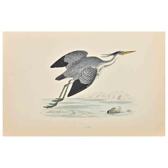 Heron - Impression sur bois d'Alexander Francis Lydon  - 1870
