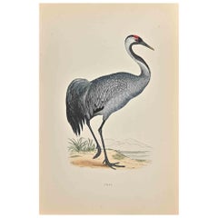 Crane - Woodcut Print by Alexander Francis Lydon  - 1870