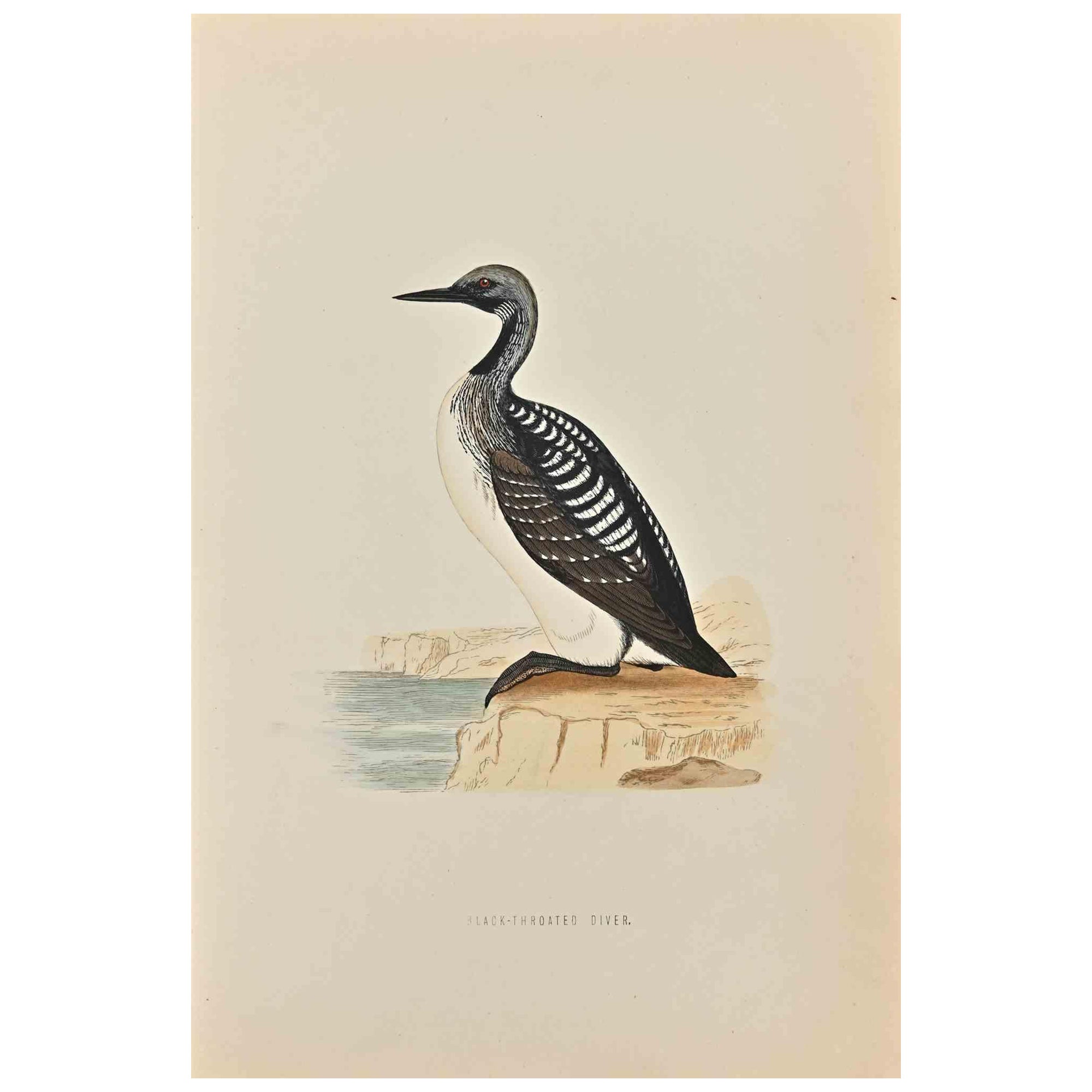 Slack-Throated Diver is a modern artwork realized in 1870 by the British artist Alexander Francis Lydon (1836-1917).

Woodcut print on ivory-colored paper.

Hand-colored, published by London, Bell & Sons, 1870.  

The name of the bird is printed on