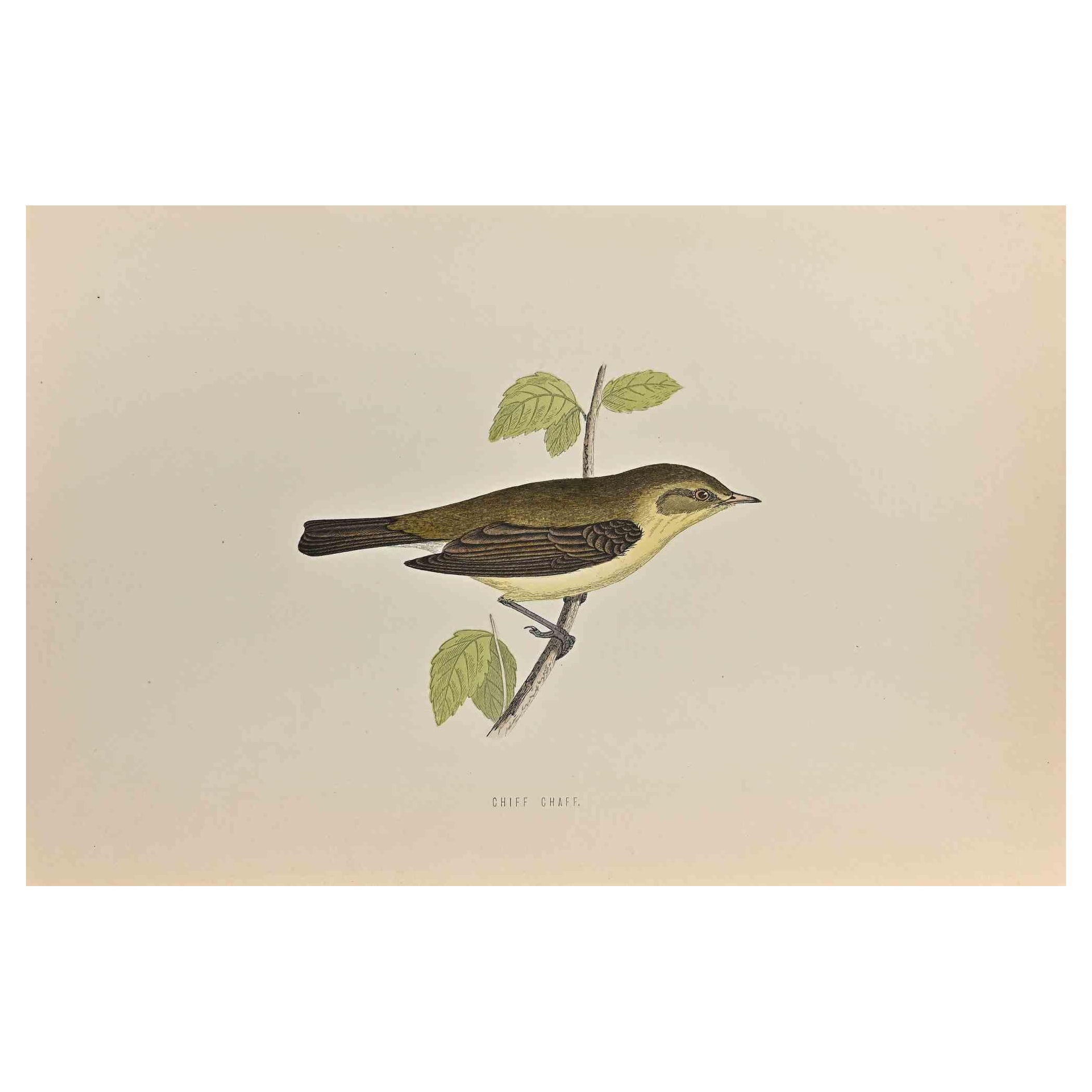 Chiff Chaff is a modern artwork realized in 1870 by the British artist Alexander Francis Lydon (1836-1917) . 

Woodcut print, hand colored, published by London, Bell & Sons, 1870.  Name of the bird printed in plate. This work is part of a print