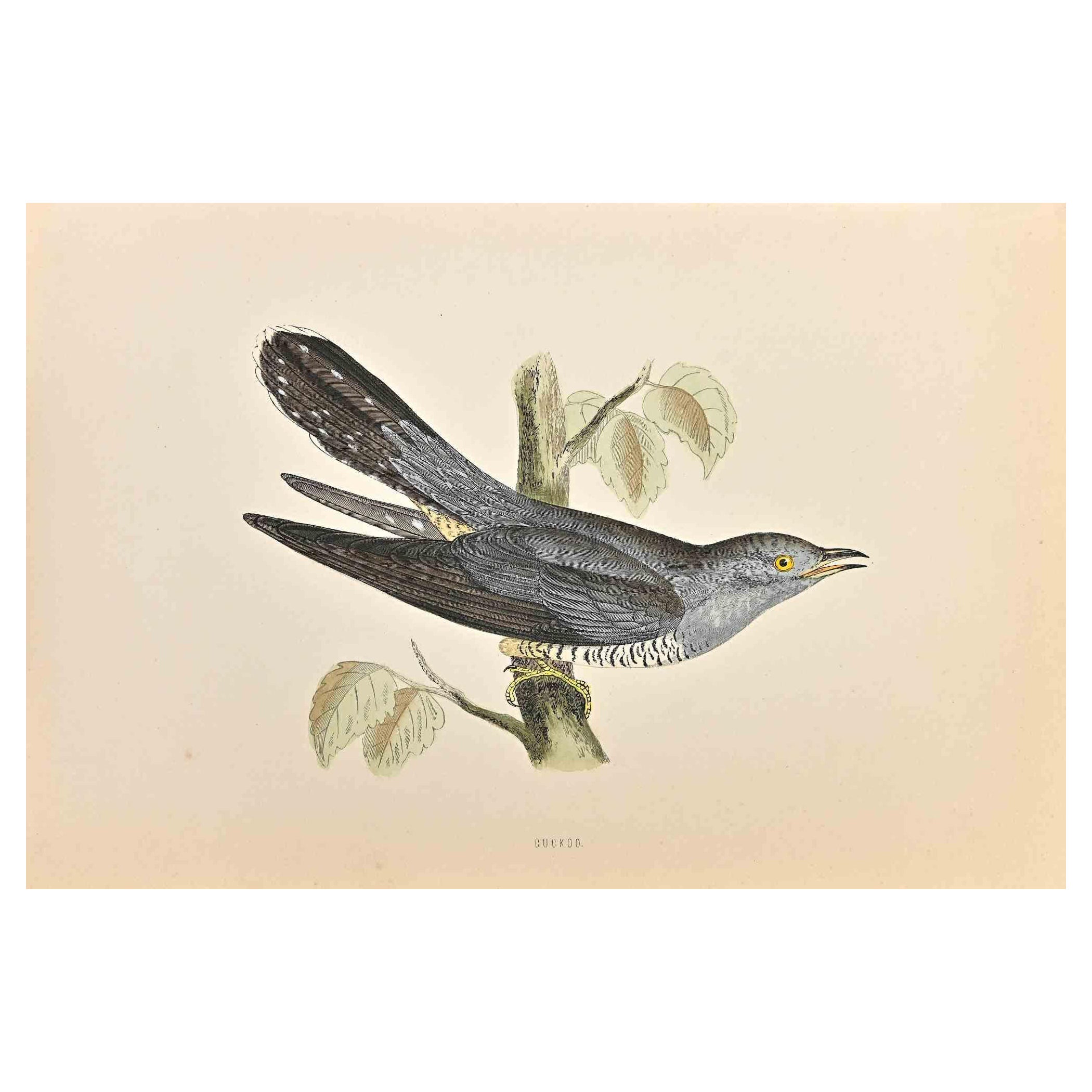 Cuckoo is a modern artwork realized in 1870 by the British artist Alexander Francis Lydon (1836-1917).

Woodcut print on ivory-colored paper.

Hand-colored, published by London, Bell & Sons, 1870.  

The name of the bird is printed on the plate.