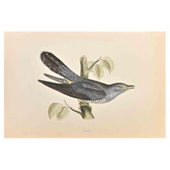 Antique Cuckoo - Woodcut Print by Alexander Francis Lydon  - 1870