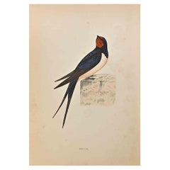 Antique Swallow - Woodcut Print by Alexander Francis Lydon  - 1870