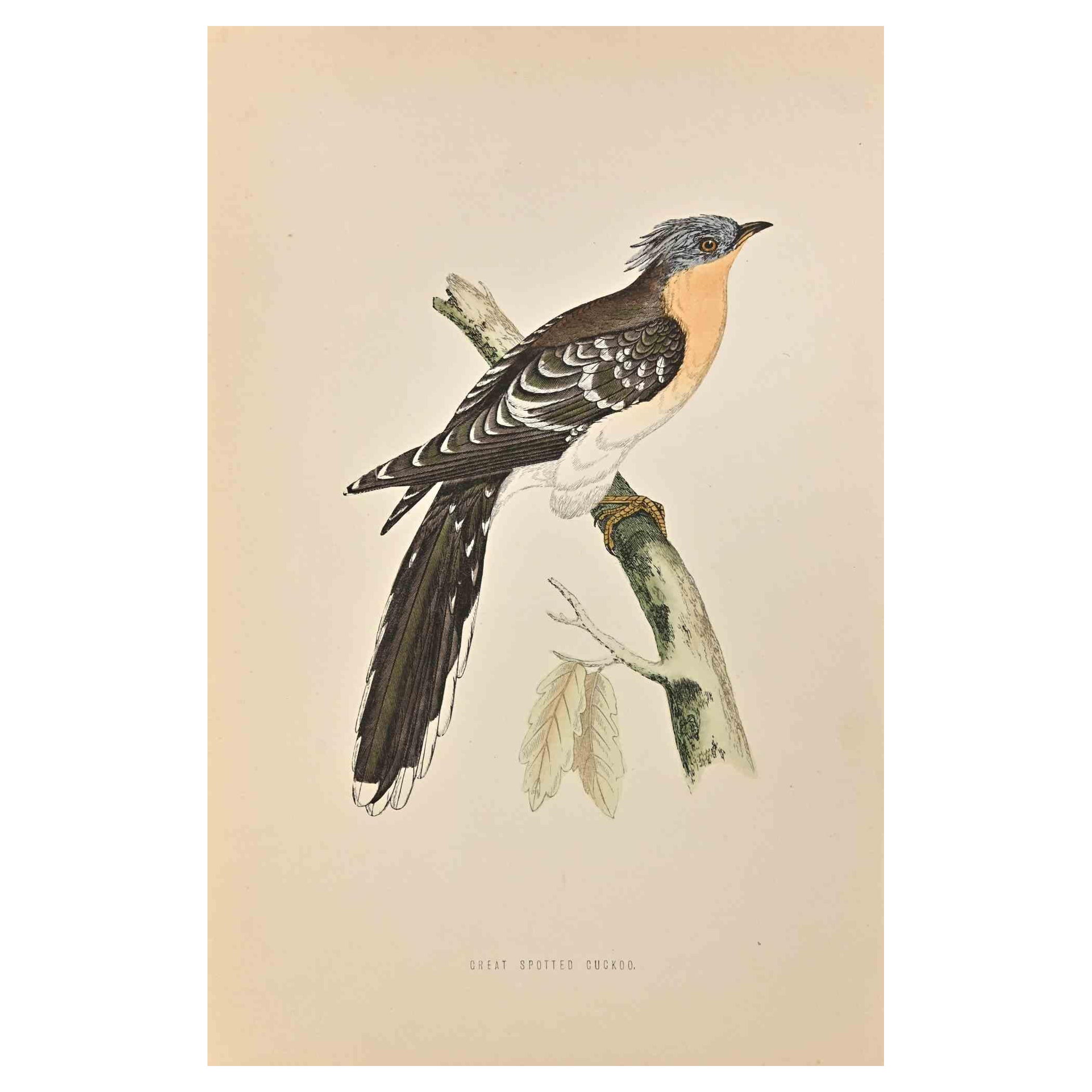 Great Spotted Cuckoo is a modern artwork realized in 1870 by the British artist Alexander Francis Lydon (1836-1917) . 

Woodcut print, hand colored, published by London, Bell & Sons, 1870.  Name of the bird printed in plate. This work is part of a