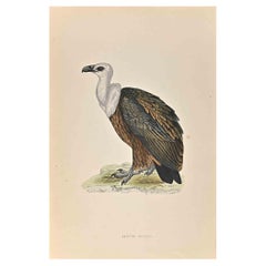 Antique Griffon Vulture - Woodcut Print by Alexander Francis Lydon  - 1870