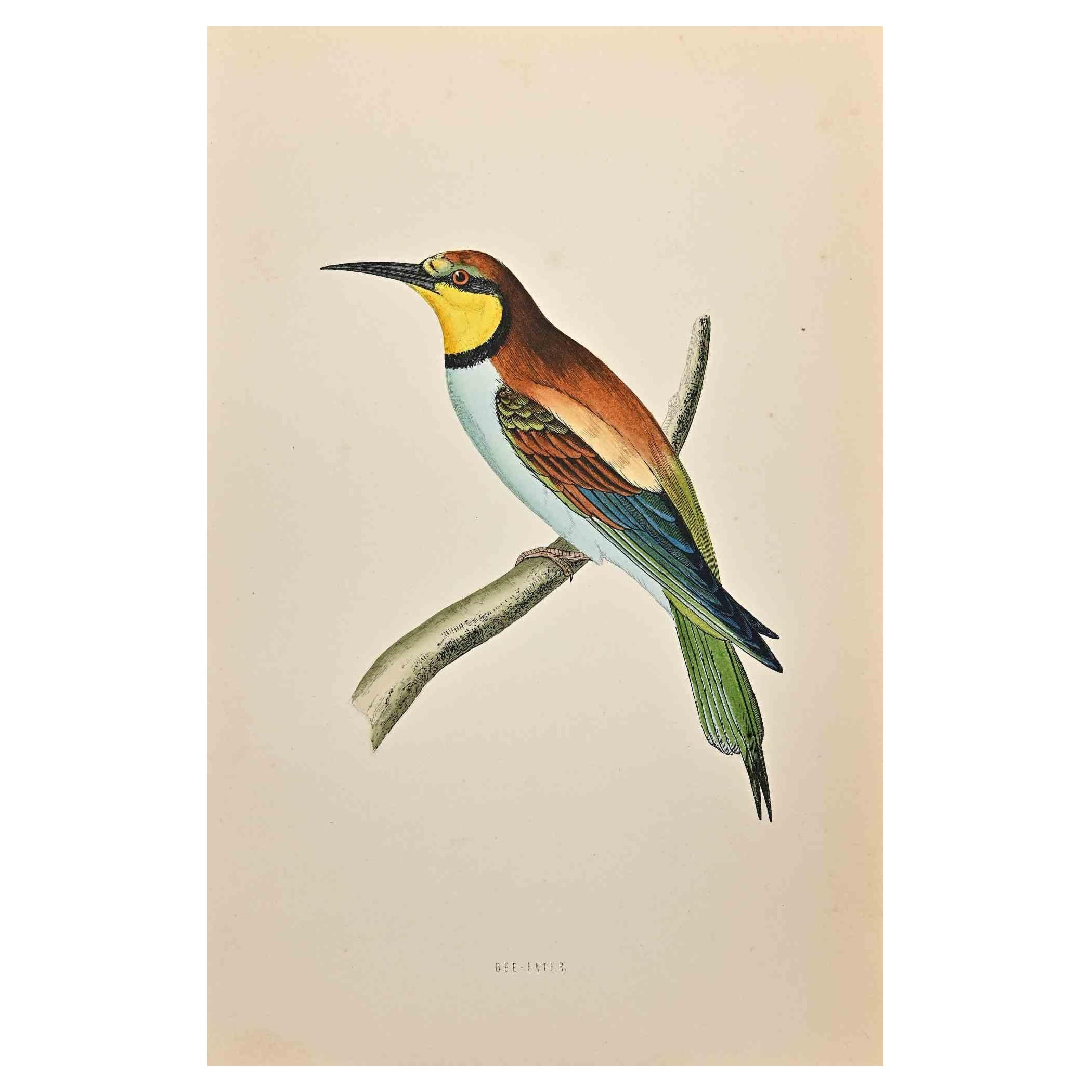 Bee-Eater is a modern artwork realized in 1870 by the British artist Alexander Francis Lydon (1836-1917).

Woodcut print on ivory-colored paper.

Hand-colored, published by London, Bell & Sons, 1870.  

The name of the bird is printed on the plate.