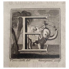 Antiquities of Herculaneum -  Letter E - Etching by G. Mignani - 18th Century
