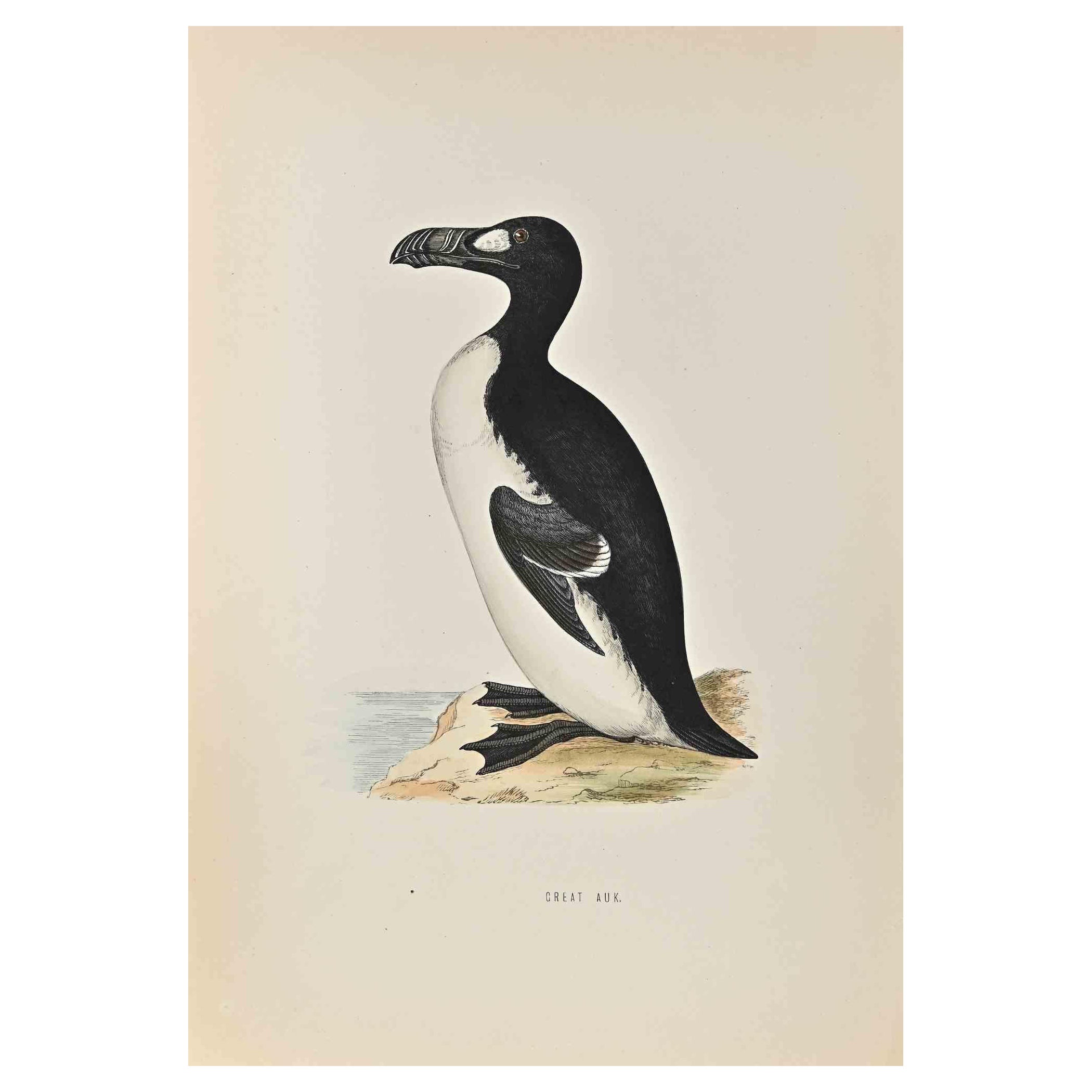 Great Auk is a modern artwork realized in 1870 by the British artist Alexander Francis Lydon (1836-1917) . 

Woodcut print, hand colored, published by London, Bell & Sons, 1870.  Name of the bird printed in plate. This work is part of a print suite