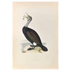 Antique Cormorant - Woodcut Print by Alexander Francis Lydon  - 1870