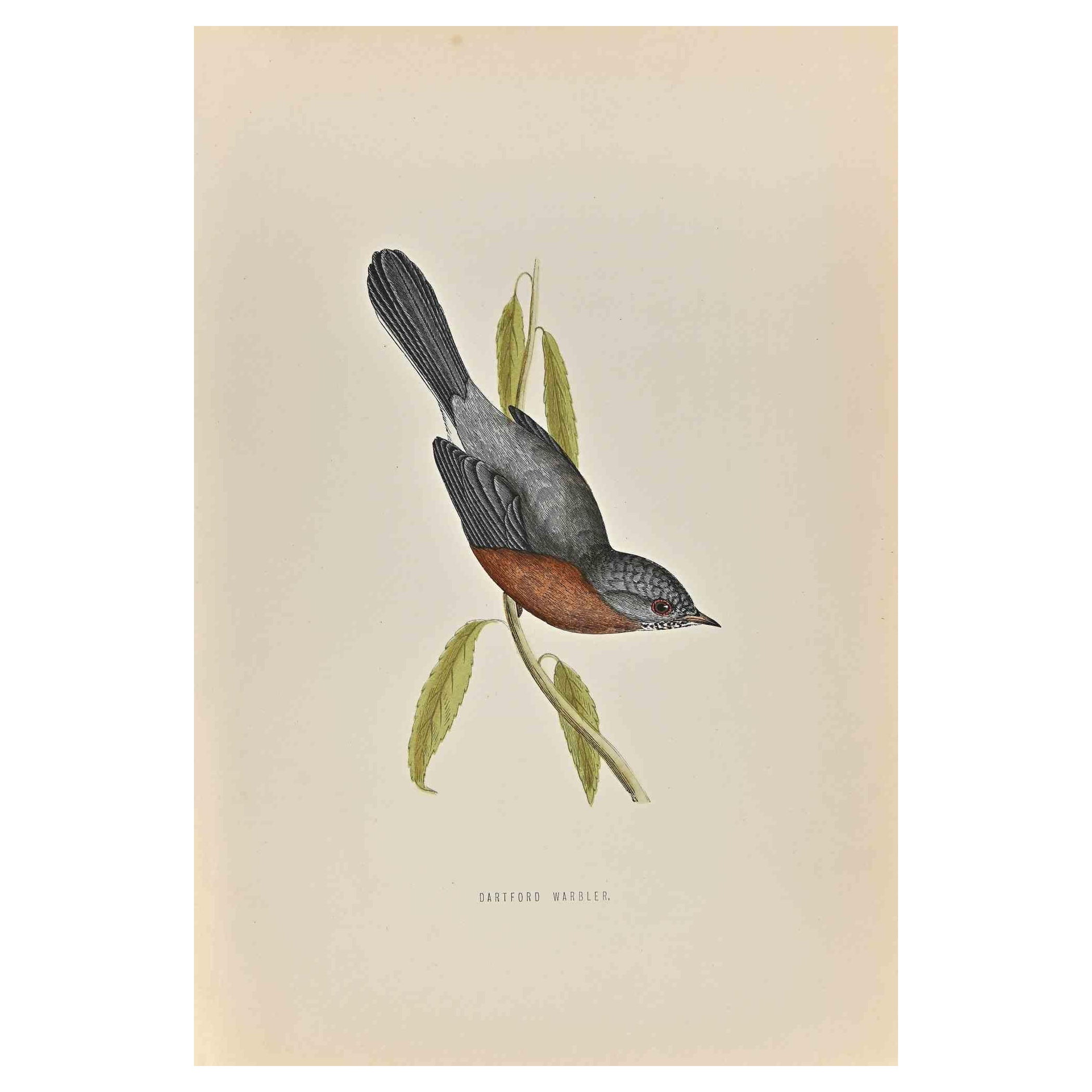 Dartford Warbler is a modern artwork realized in 1870 by the British artist Alexander Francis Lydon (1836-1917) . 

Woodcut print, hand colored, published by London, Bell & Sons, 1870.  Name of the bird printed in plate. This work is part of a print