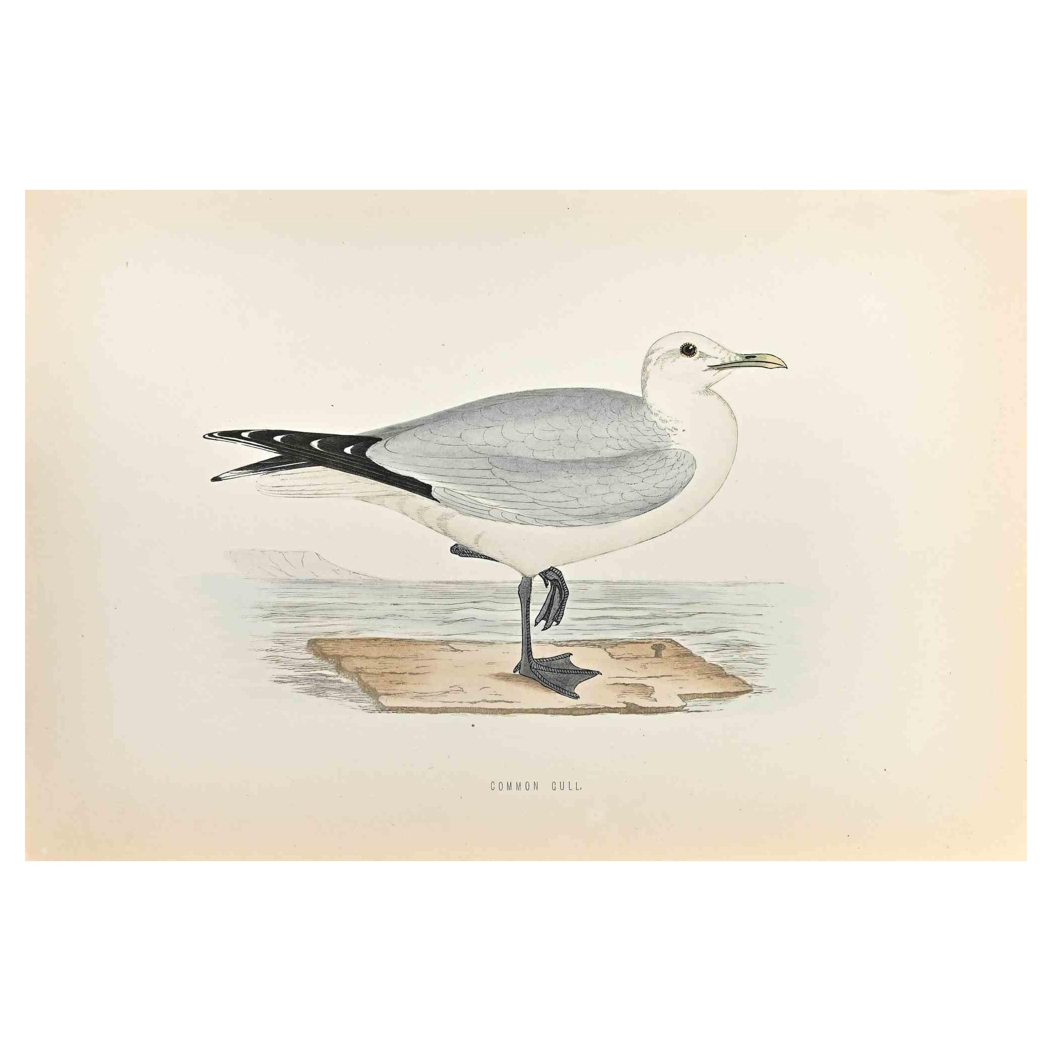  La gaviota común es  una obra de arte moderno realizada en 1870 por el artista británico Alexander Francis Lydon (1836-1917) . 

Grabado xilográfico, coloreado a mano, publicado por Londres, Bell & Sons, 1870.  Nombre del ave impreso en placa. Esta