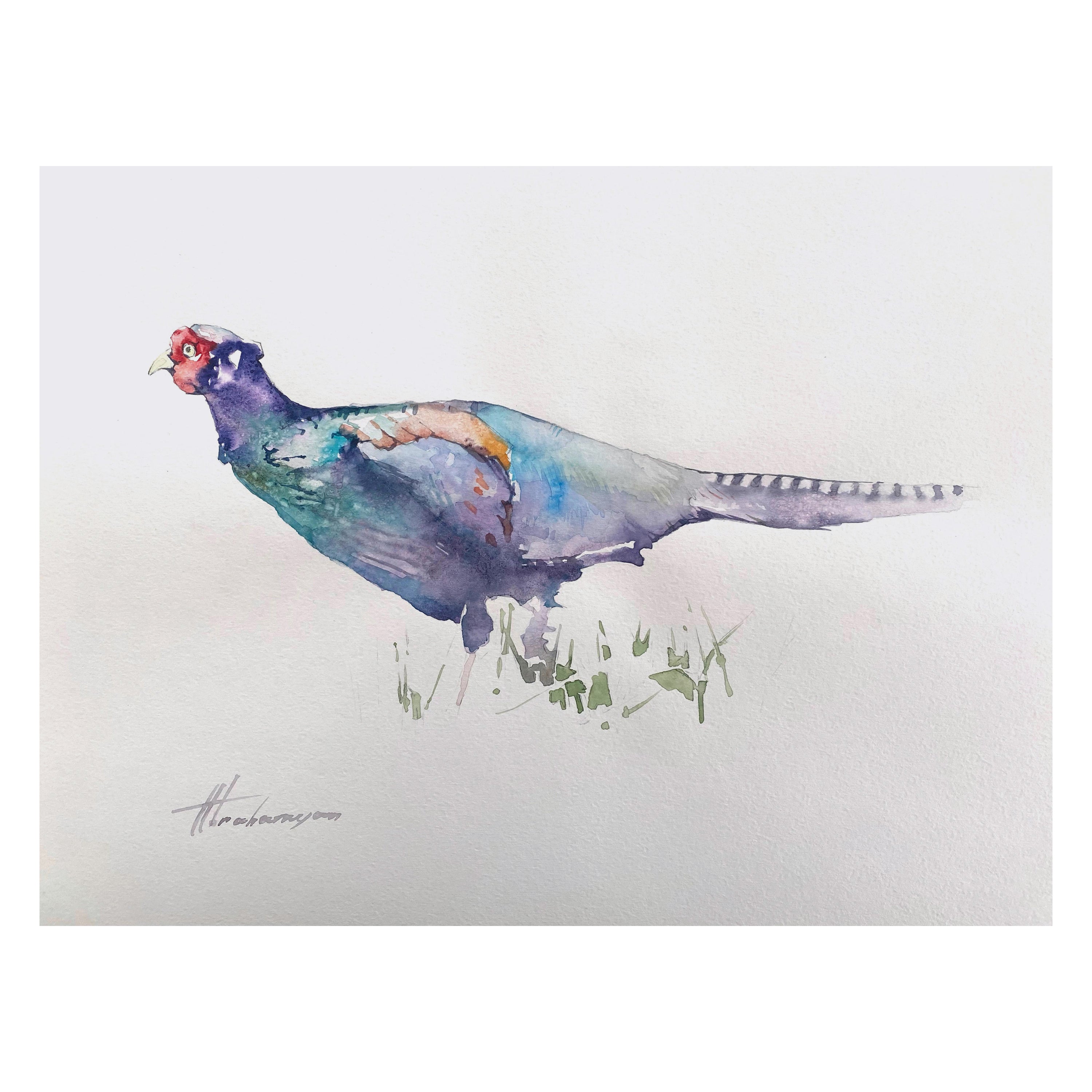 Artyom Abrahamyan Animal Art - Pheasant, Bird, Watercolor Handmade Painting
