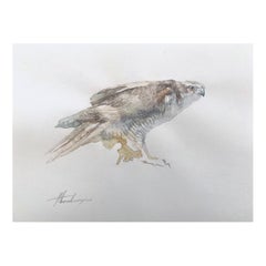 Sparrow-hawk, Bird, Watercolor Handmade Painting