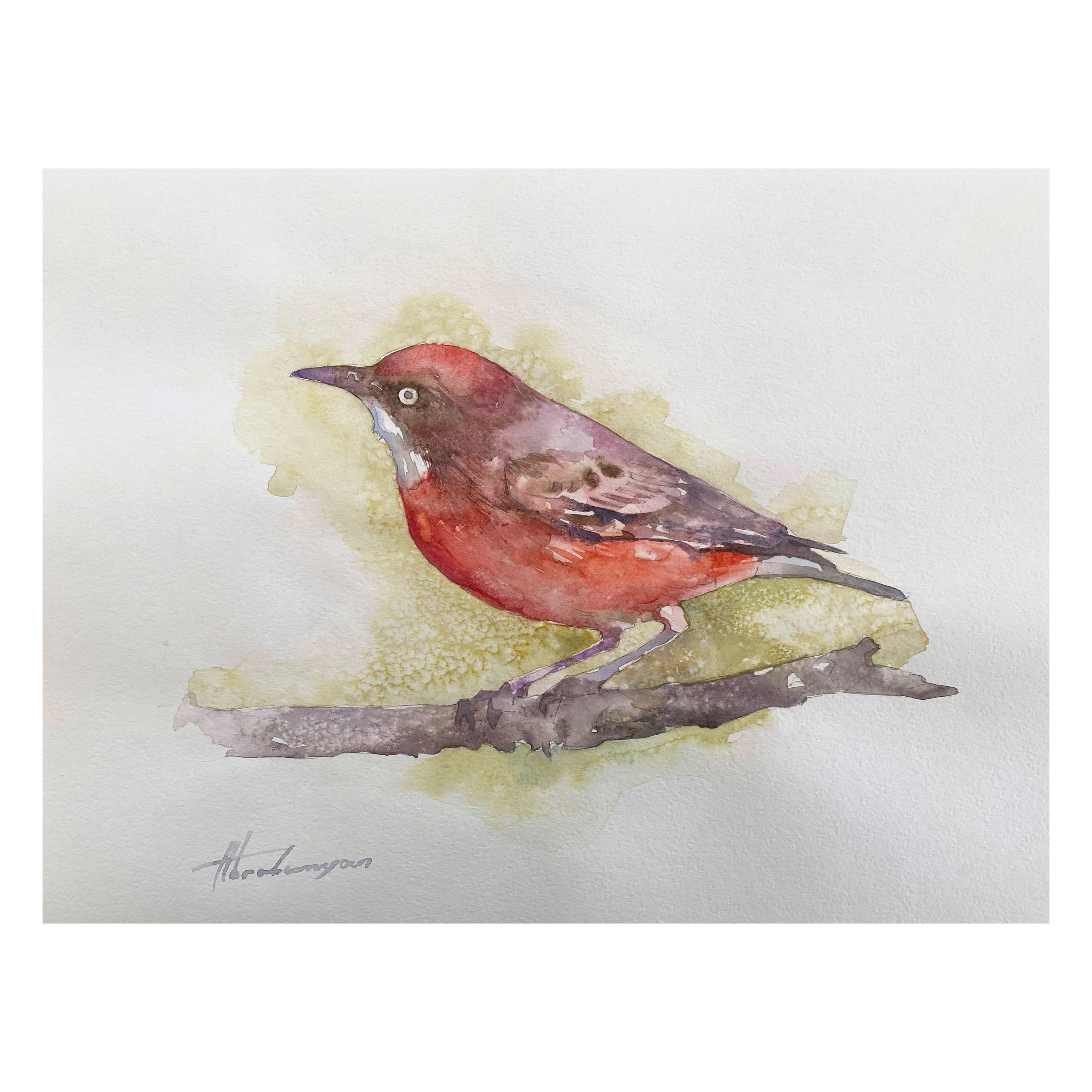 Artyom Abrahamyan Animal Art - Tanner, Bird, Watercolor Handmade Painting