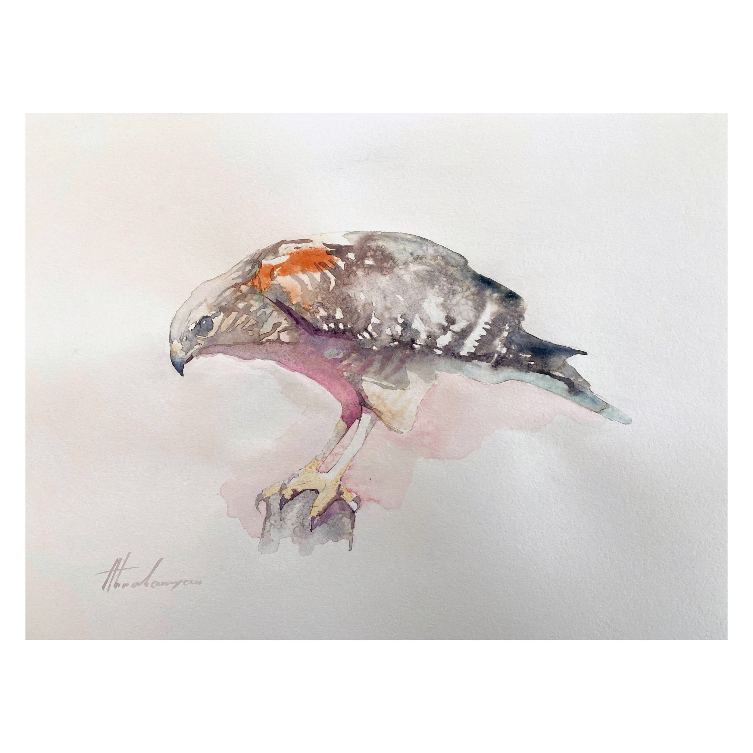 Artyom Abrahamyan Animal Art - Sparrow Hawk, Bird, Watercolor Handmade Painting