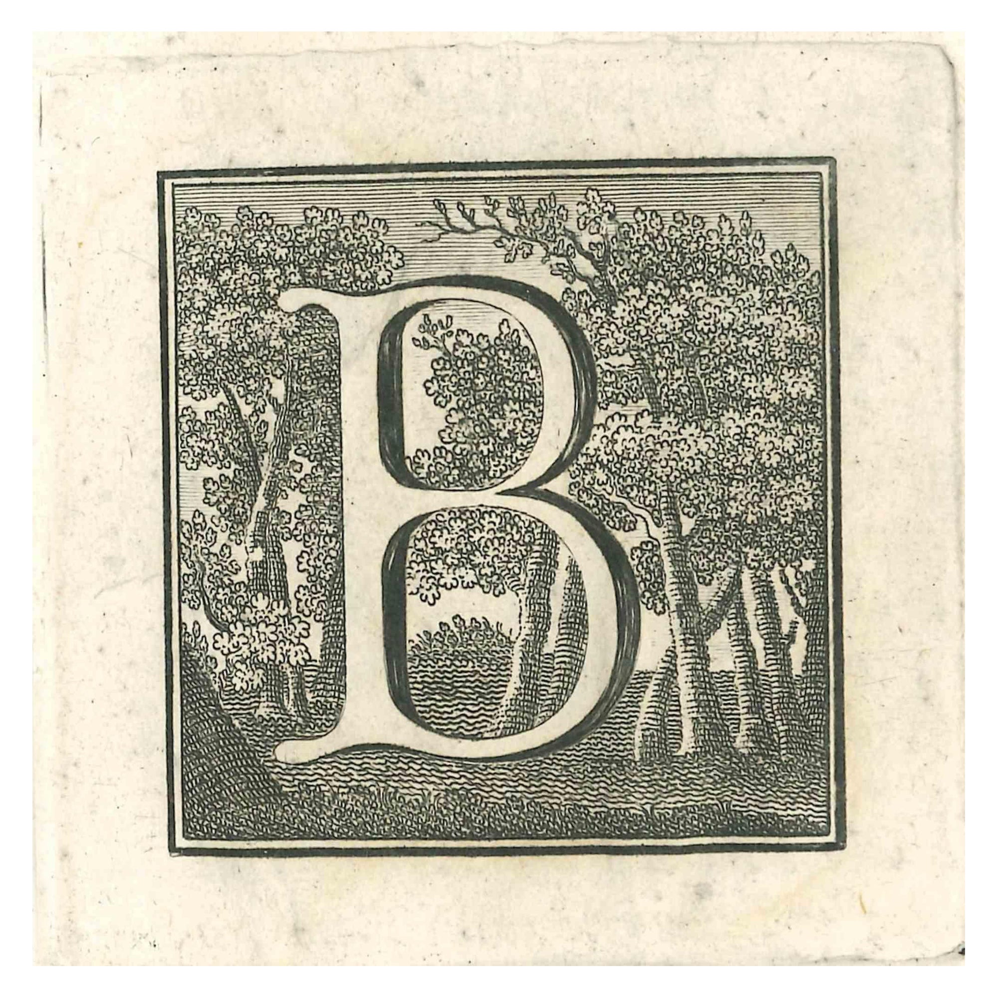 Gaspar Van Wittel (Vanvitelli) Figurative Print - Antiquities of Herculaneum Letter B - Etching by Gaspar V. Wittel- 18th Century