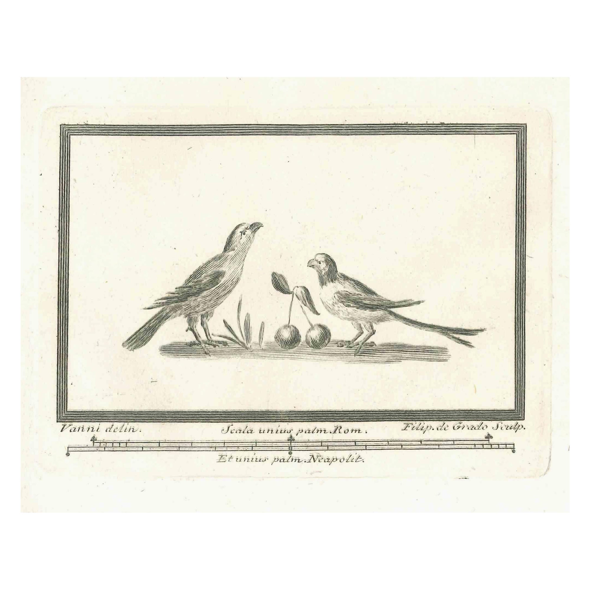 Unknown Figurative Print - Birds - Etching - 18th Century