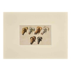 Antique Horses - Etching by Thomas Holloway - 1810