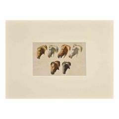 Horses - Etching by Thomas Holloway - 1810