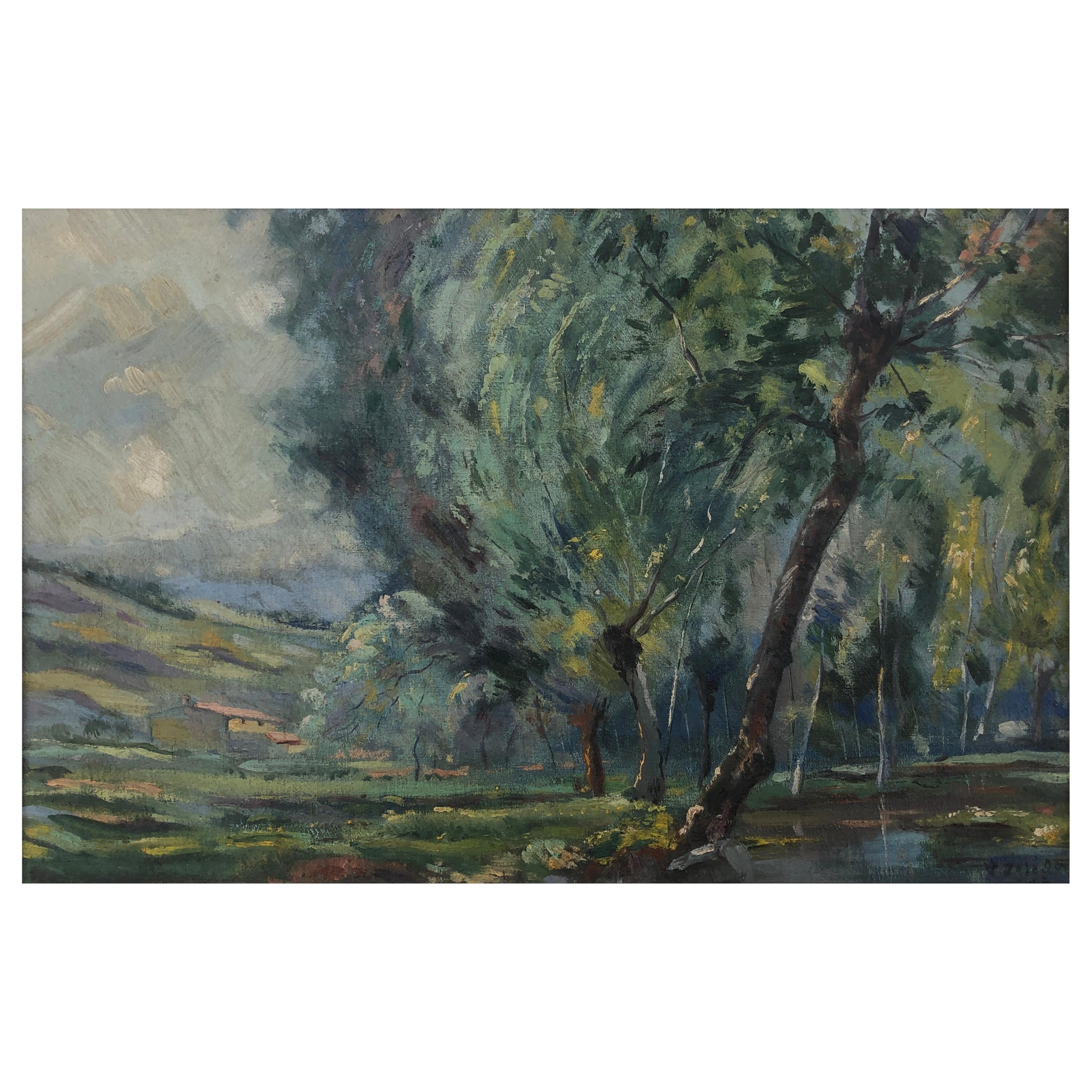 Vicenç Solé Jorba Landscape Painting - Spanish landscape oil on canvas painting