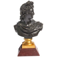 Busto di bronzo di Apollo Belvedere Grand Tour XIX secolo