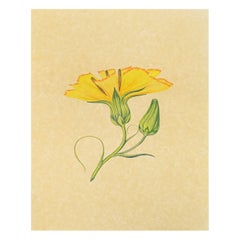 Set of 5 Watercolor on Paper Flowers