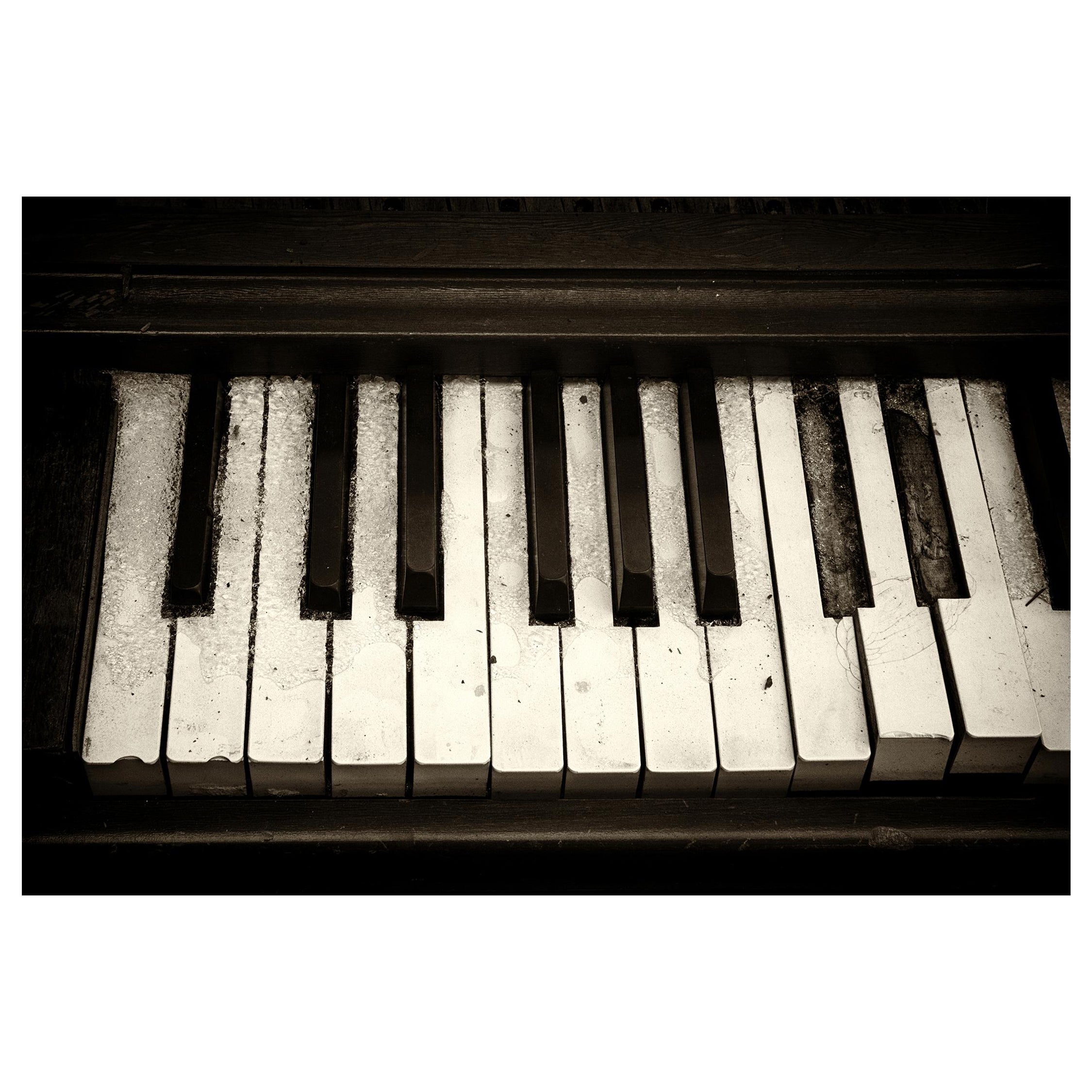 "Cold Keys", contemporain, noir, blanc, vintage, piano, impression métallique, photographie.