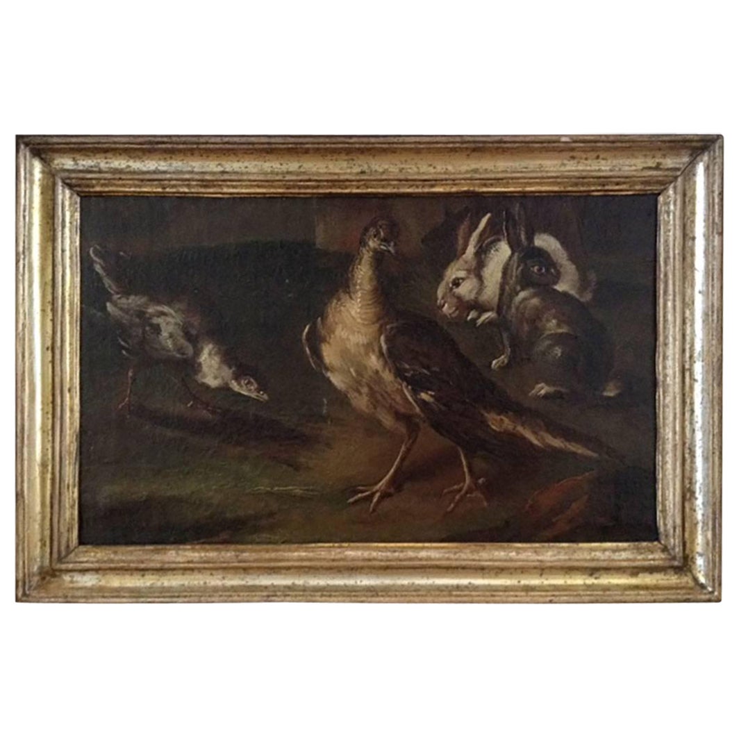 Angelo Maria Crivelli Animal Painting - Late 17th/early 18th century Italian painting of a group of Partridges and Hares