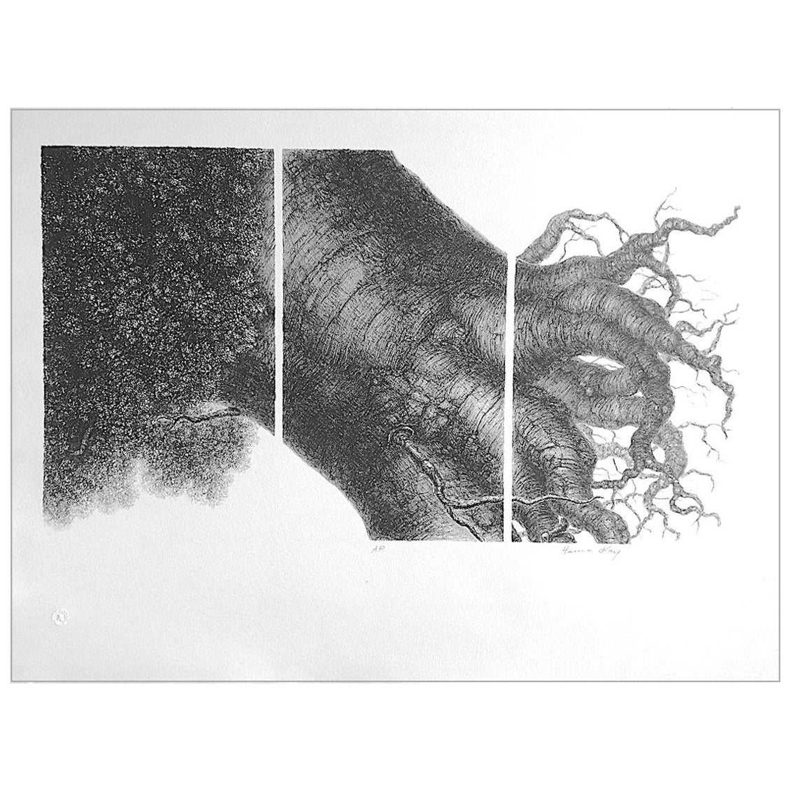 Hanna Kay Still-Life Print - MIGHTY TREE I  Signed Stone Lithograph, Tree Portrait, Surreal Botanical Drawing