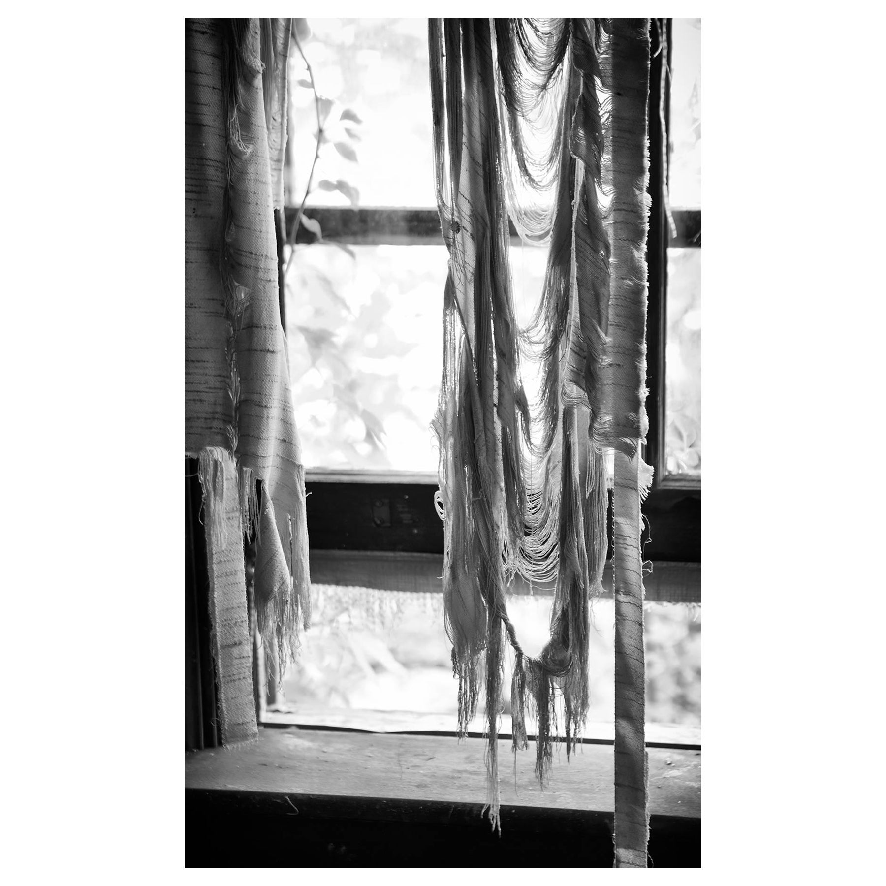 Rebecca Skinner Black and White Photograph – "Tattered", zeitgenössisch, Vorhang, schwarz, weiß, Metalldruck, Fotografie