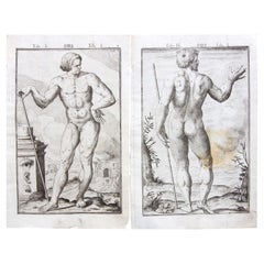 Antique Pair 17th Century Medical Anatomy Engravings by Francesco Valesio