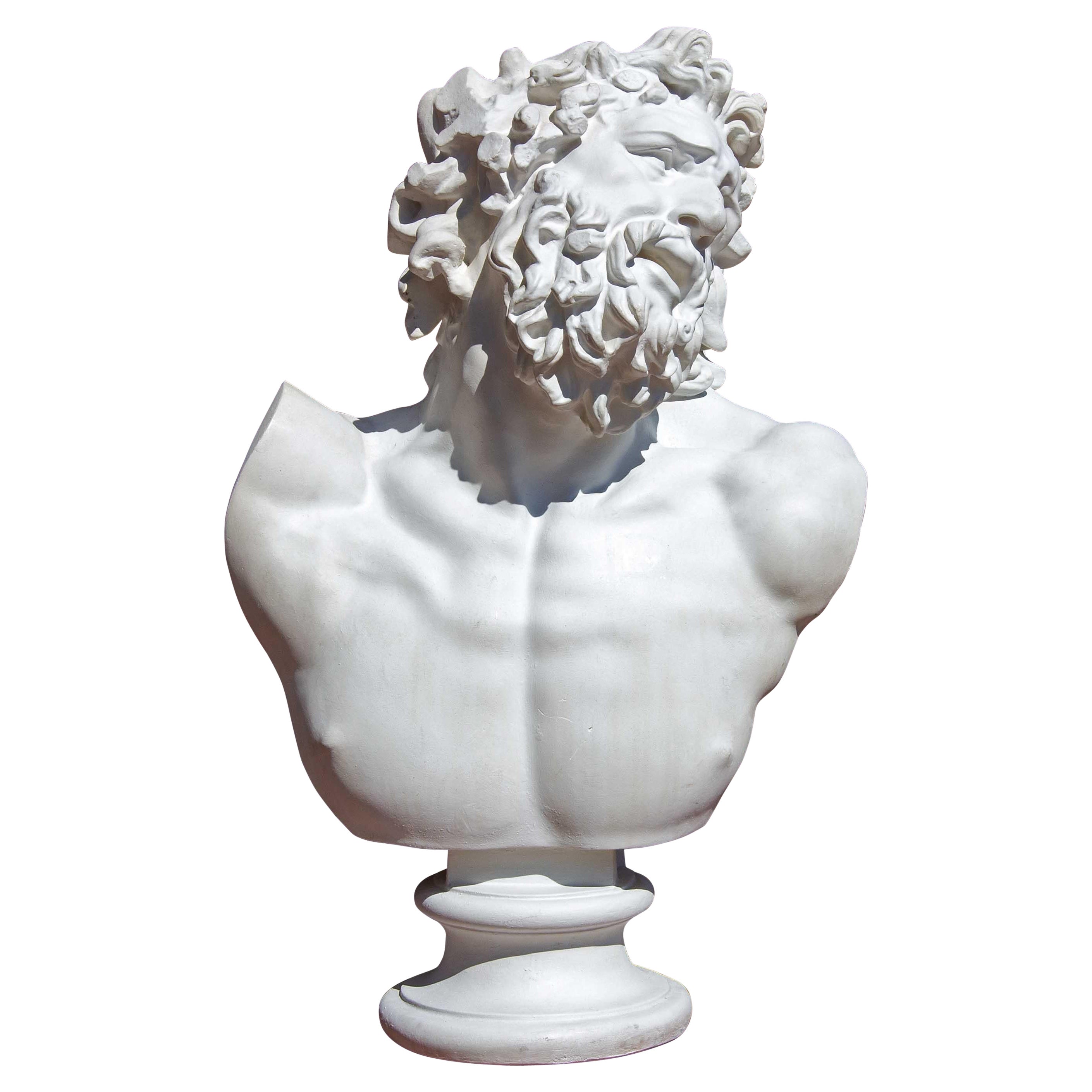 Classical Renaissance Bust of Man
