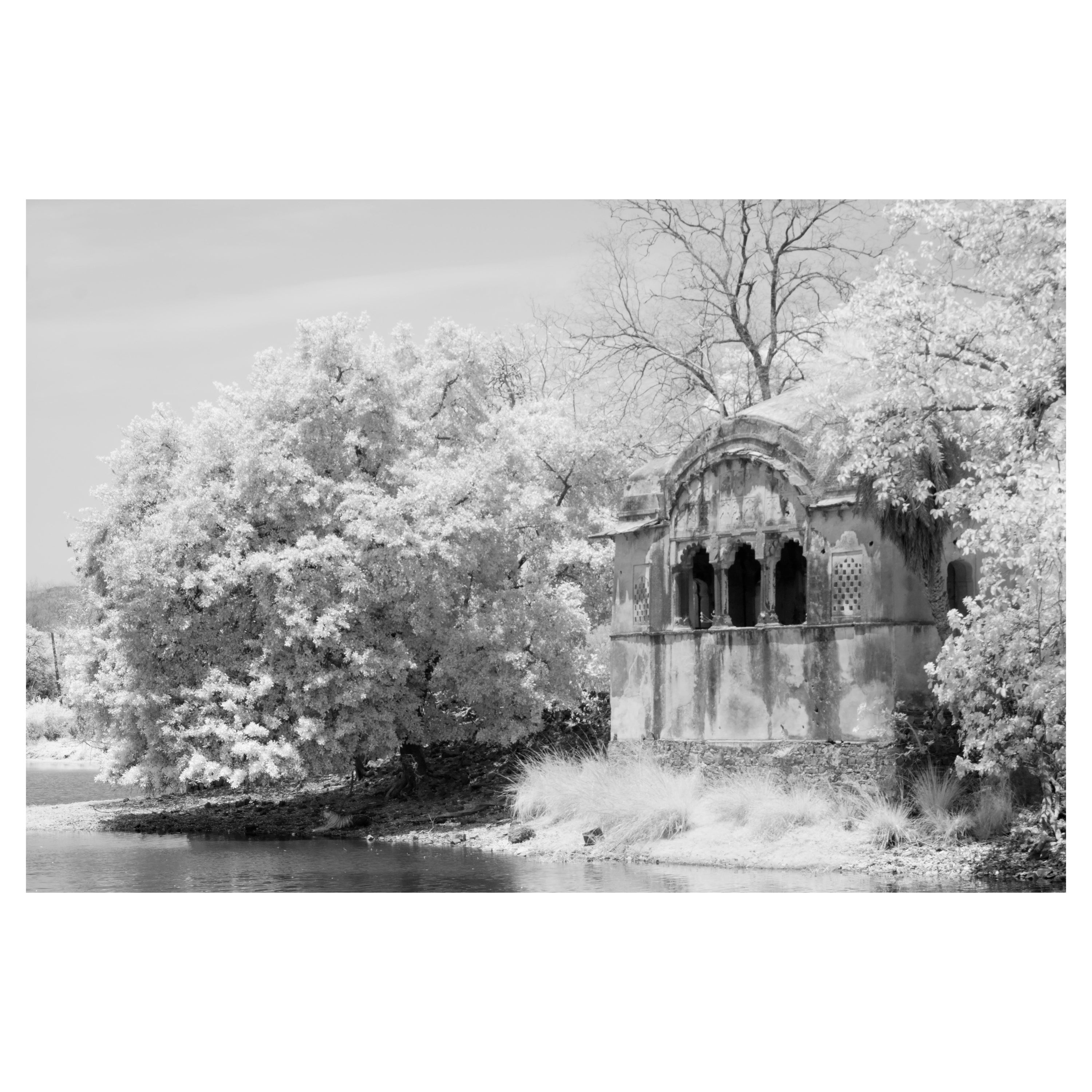 Aditya Dicky Singh Black and White Photograph - Landscape Photograph Nature Large Black White Infrared  India Tiger Lake Trees
