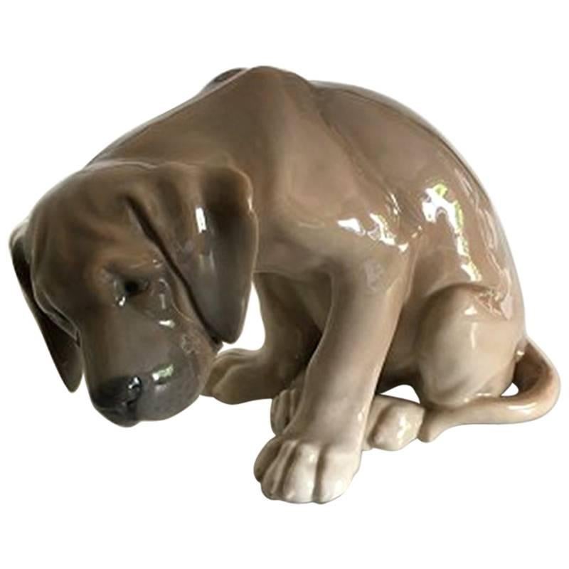 Royal Copenhagen Figurine of Dog BOB No. 318 For Sale