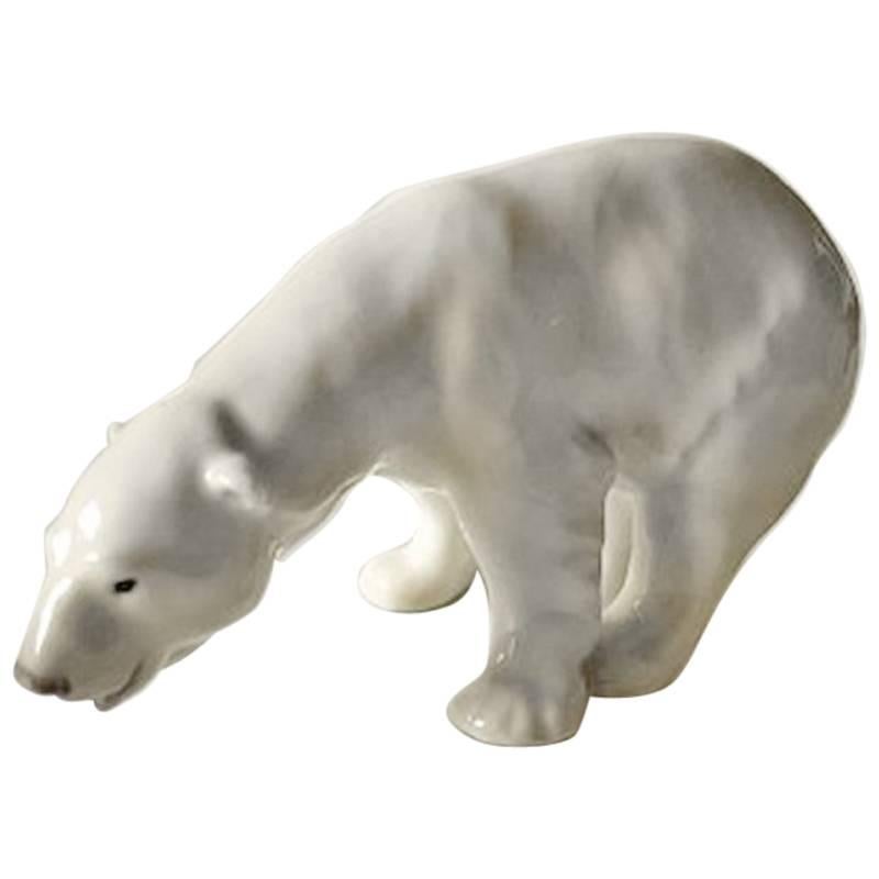 Royal Copenhagen Figurine Polar Bear Feeding #321