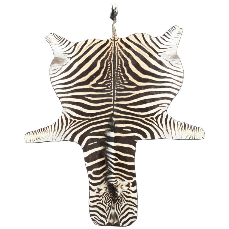 African zebra skin rug or wall hanging at 1stdibs