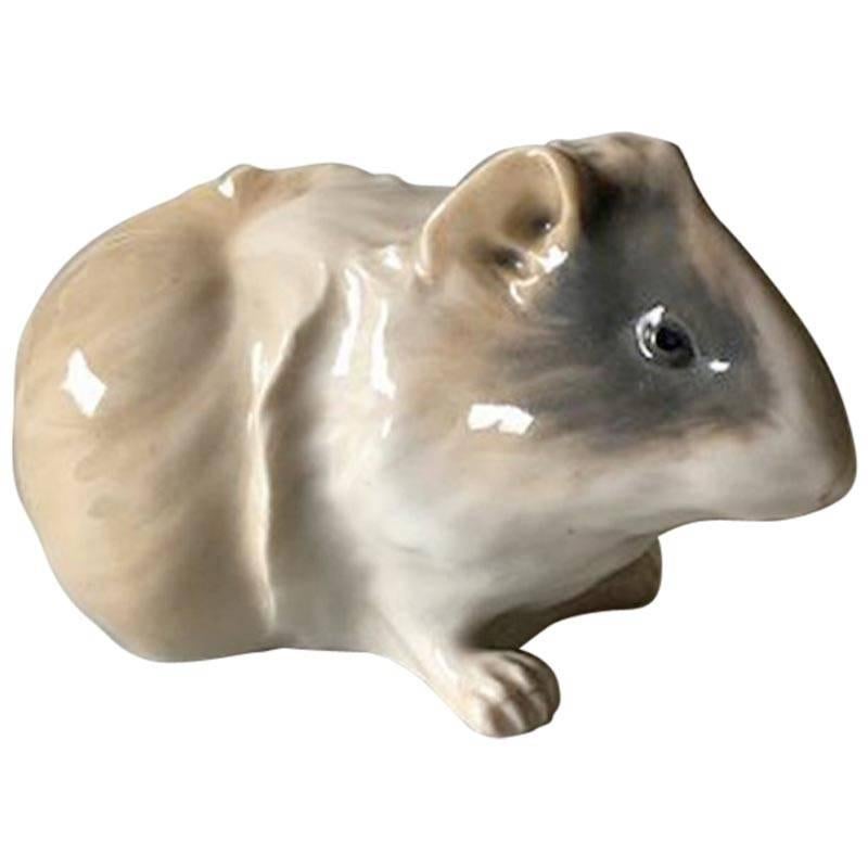Royal Copenhagen Figurine of Guinea Pig #503 For Sale