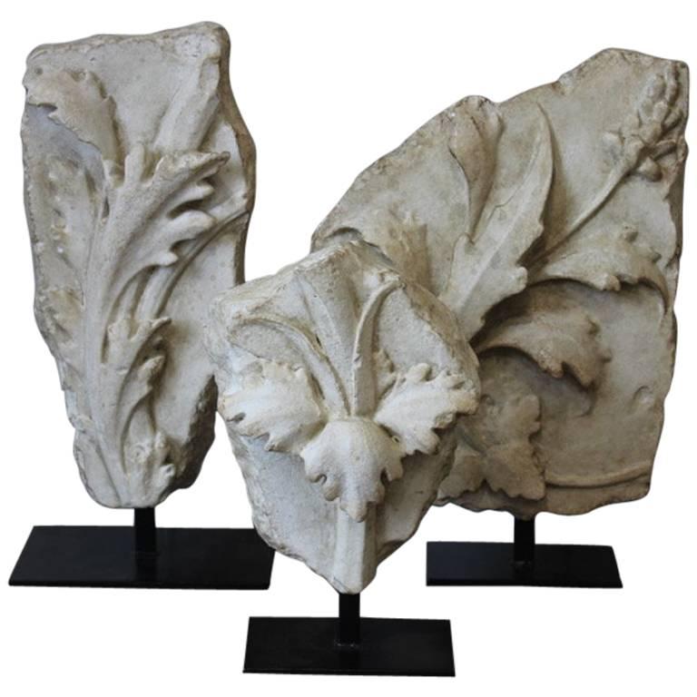 Decorative Set of Three Mounted Cast-Plaster Fragments