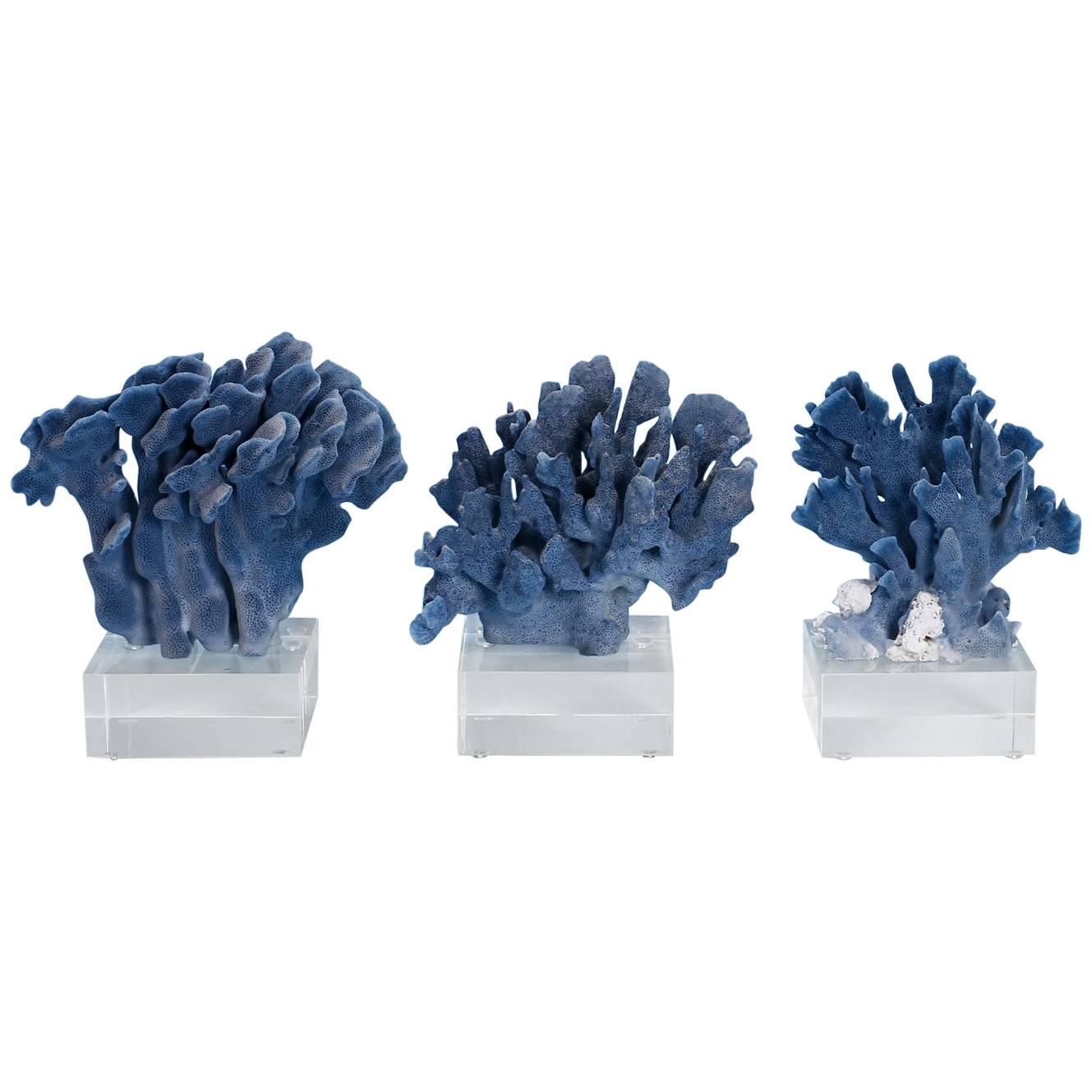 Blue Coral Sculpture on Lucite