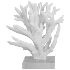 Branch Coral Sculpture
