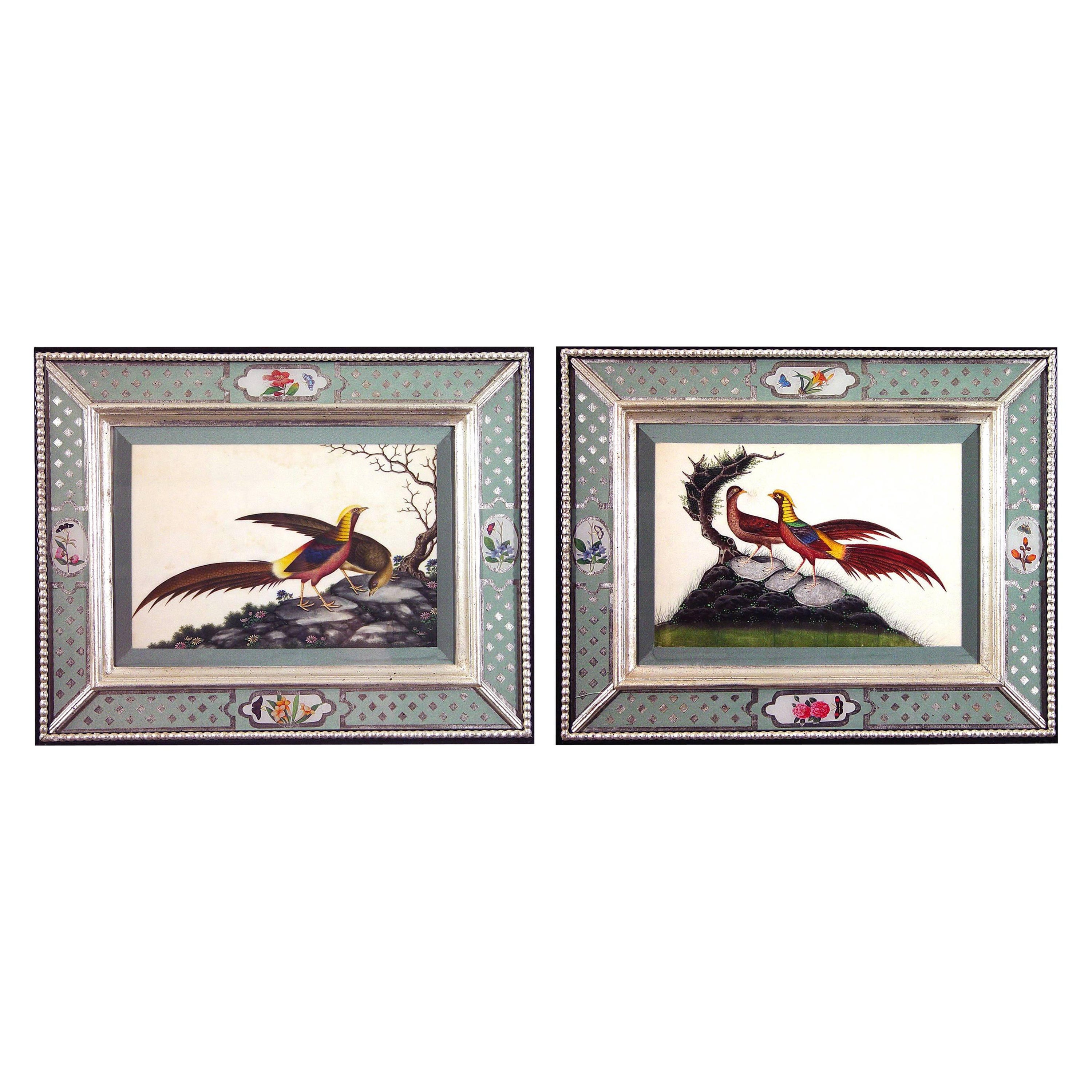 China Trade Watercolors of Birds in Églomisé Frames