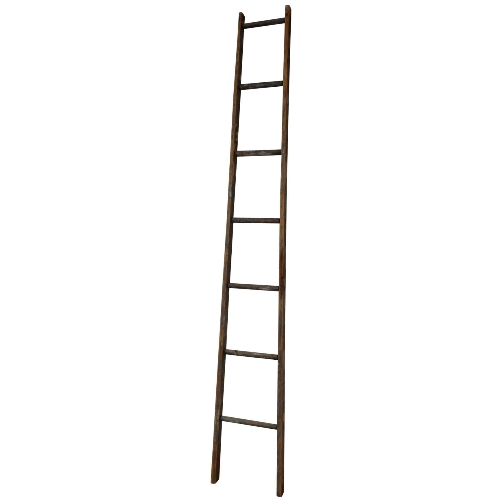 19th Century Apple Picking Ladder